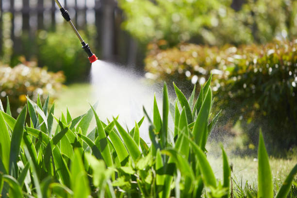 24/7 Emergency Mosquito Control experts in Kotzebue, AK